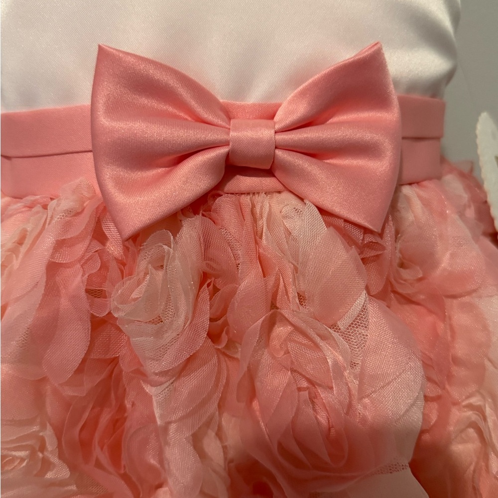 American Princess Pink Rosette Toddler Dress & hair clips - Special Event - Picture 3 of 6